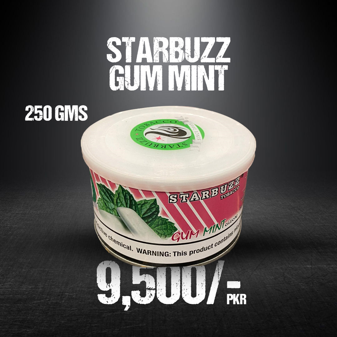 StarBuzz Gum Mint 250 G